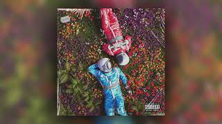 (FREE FOR PROFIT) Travis Scott x Roddy Rich summer type Beat Shes gone | Free to use beat 2022