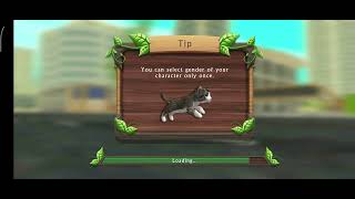 Cat Sim Part 267