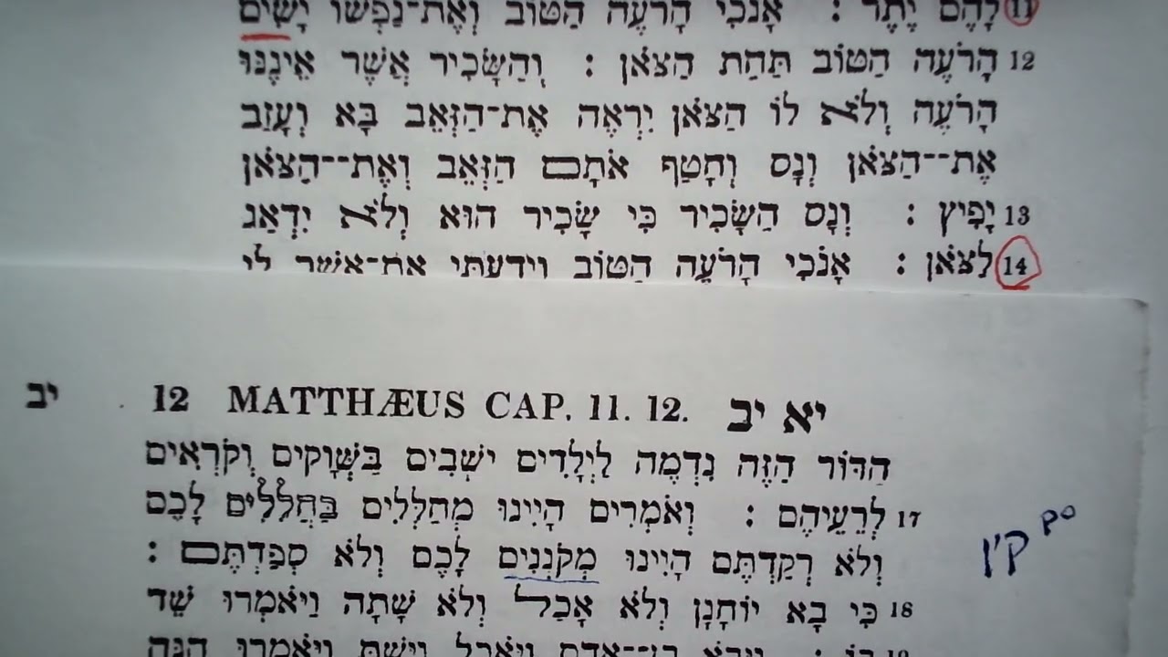 the true meaning of "my sheep know me"---John 