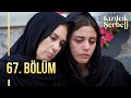 Kızılcık Şerbeti 67. Bölüm @showtv