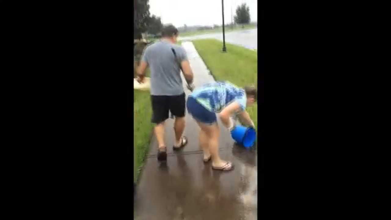 Catfish getting washed up onto the street in Tampa YouTube