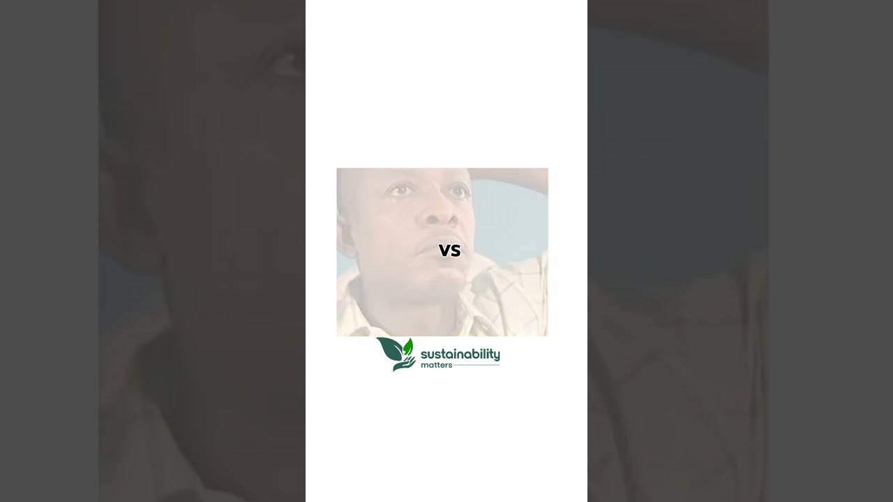 Sustainability practices helps long term growth for businesses 