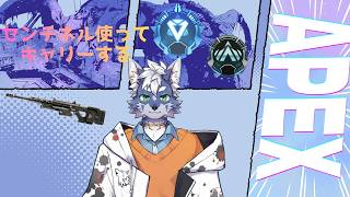 【縛り】センチネルをお供にしてランクやっていく