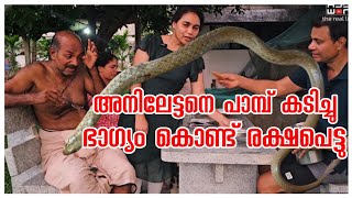 പാമ്പ് കടിച്ചു... ഭാഗ്യം കൊണ്ട് രക്ഷപെട്ടു.../Chakka murukku recipe /Village vlog /Entertainment