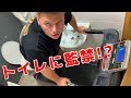 Ben Phillips トイレにランニングマシン置いて出れなくしてみたw