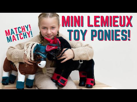 MINI LEMIEUX TOY CUDDLY PONIES! - Matchy Matchy sets!