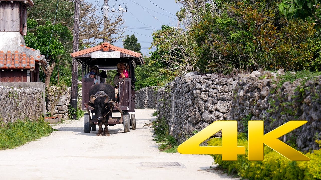 Taketomi Island Okinawa 竹富島 4k Ultra Hd Youtube
