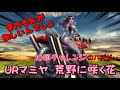 北斗の拳レジェンズリバイブ【♯83】URマミヤ-荒野に咲く花-イベントガチャ!