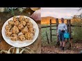 BEST HIKING SNACKS | granola + protein energy balls