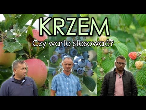 Wideo: W krzemianach jest krzem?