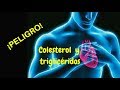 ¡PELIGRO! Colesterol y triglicéridos