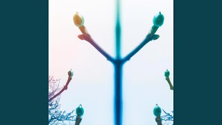 Serene Synchrony