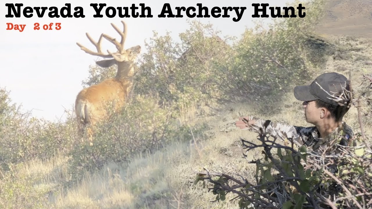 Mule Deer Hunt in Nevada Youth Archery Hunt Day 2 of 3 YouTube