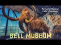 The bell museum a mustsee for science lovers