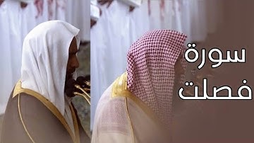 سورة فصلت | المصحف الصوتي والمرئي من صلاتي التراويح والتهجد بالمسجد النبوي لعام 1445هـ.