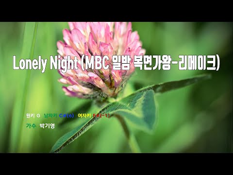 [은성 반주기] Lonely Night(MBC 일밤복면가왕-리메이크) - 박기영