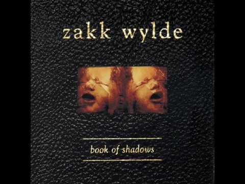 Zakk Wylde - Road back home