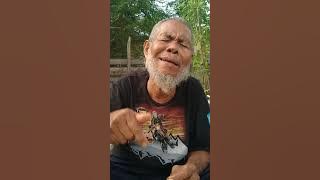 Pembahasan Ayat Yang Bertentangan Dng Al-Quran Menurut Pak Tua...