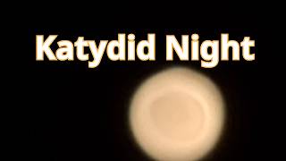 Katydid Sounds as the Moon Fades 🌙 Natural Night Ambience for Sleep screenshot 2