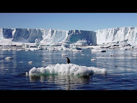 Antartide: nasce la più grande riserva marina del mondo - world