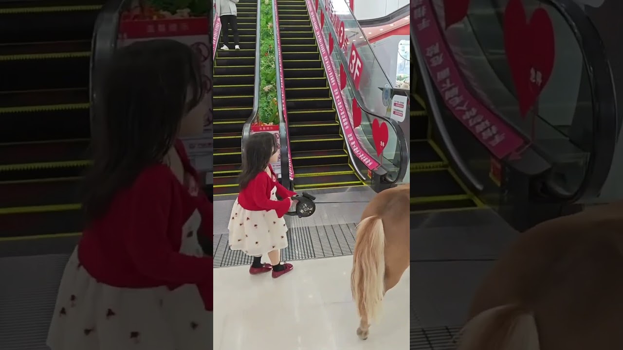 Sie nahm das Pferd mit ins Einkaufszentrum ... und es wurde schlimm! 🐎😱 