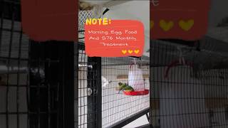 Morning Egg Food & S76 Mite Treatment
