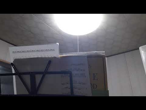 ALTES flute method 2-18-5