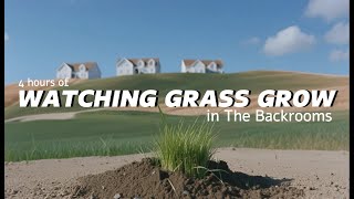4 Hours of Watching Grass Grow in The Backrooms. So Boring You’ll Fall Asleep. Did it actually grow?