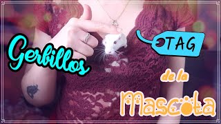 TAG de la Mascota - JERBOS (JERBILLOS)