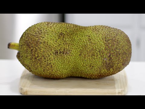 Jackfruit를 먹는 방법 | Jackfruit Taste는 어떤가요? 맛 테스트