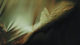 Last lily - In midair (Official Music Video)