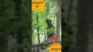 Criatura Em Forma Se Árvore