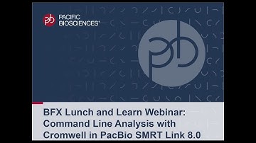 Bioinformatics Lunch & Learn: Command Line Analysis with Cromwell in PacBio SMRT Link v8.0