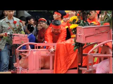Vietnam's Nem Thuong Pig Slaughter Festival