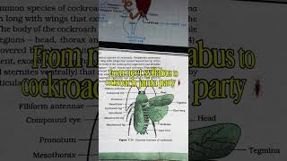 From NEET Syllabus to Cockroach Janta Party 😱😭 #reneet #nta #cockroach #neet #neetscam #funny #viral