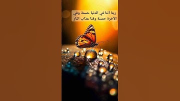 #قرآن #تلاوات #القرآن_الكريم #دعاء #رمضان #quran #رمضان_٢٠٢٤