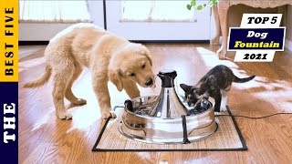 ✅ Top 5: Best Dog Water Fountain For Large Dogs/Small 2023 [Buying Guide]