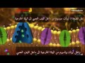 جهد الراحة  