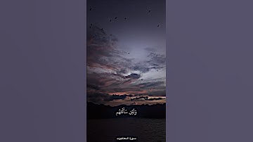 ولئن سالتهم من خلق السموات والأرض وسخر الشمس والقمر ليقولن الله بصوت القارئ ياسر الدوسري