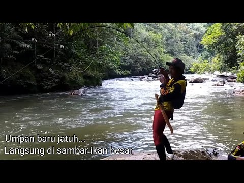 Video: Cara Memancing Pada Musim Sejuk Mengikut Arus