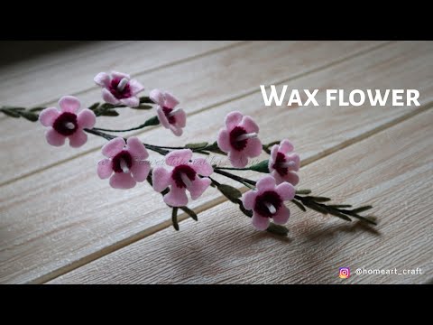 Video: Felt Wax