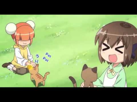 Cat Uppercut!