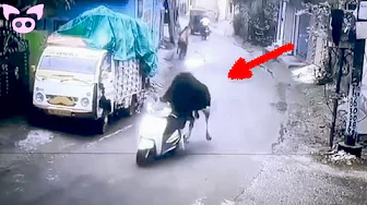 Weird Stuff Caught on Camera That Doesn't Make Sense