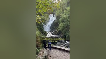 Torc Waterfall, Killarney. #shorts