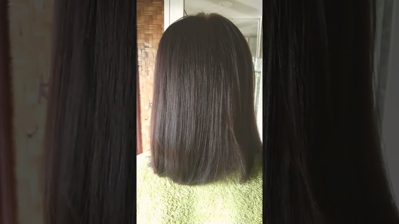  Cat  rambut  DARK  BROWN  HAIR YouTube