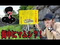【危険】札幌の街中で"猛毒ヘビ"が大量発生してるらしいので調査した結果....