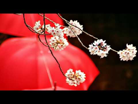 [everysing] 밀양머슴 아리랑