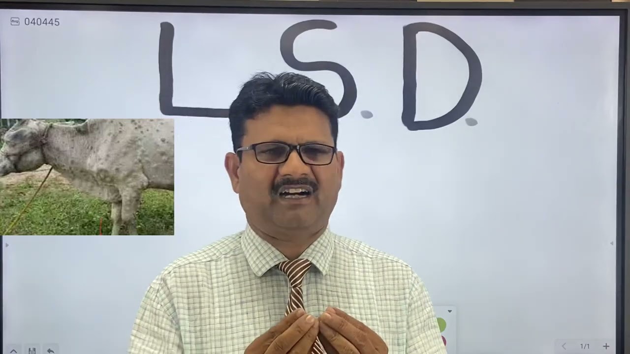 Lumpy skin disease l LDS l treatment of lumpy skin disease l dr umar khan