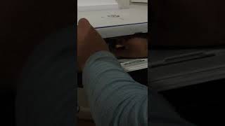 IMG 5382