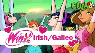 Winx Club Ending Season 2 Irish Song Dubbed